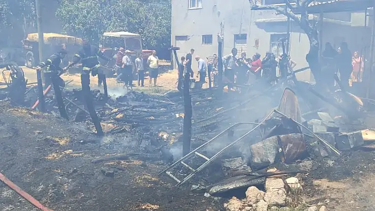 Çıkan yangında 30 küçükbaş hayvan telef oldu