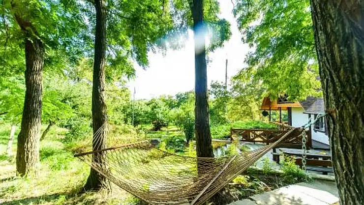 Codru Milli Parkı nerededir?