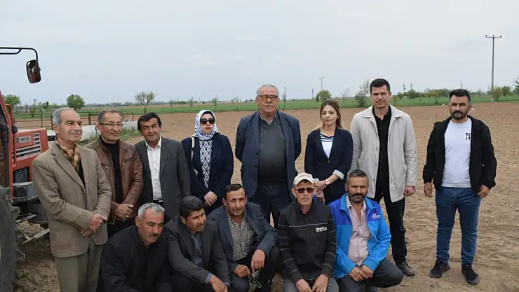 Çumra'da tarımda yeni dönem başladı: Kenevir ekimine yoğunluk!