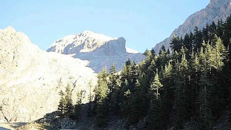 Dağda mahsur kaldı