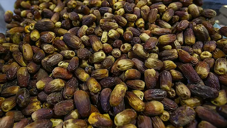 Depremzedelere 200 ton hurma dağıtılacak