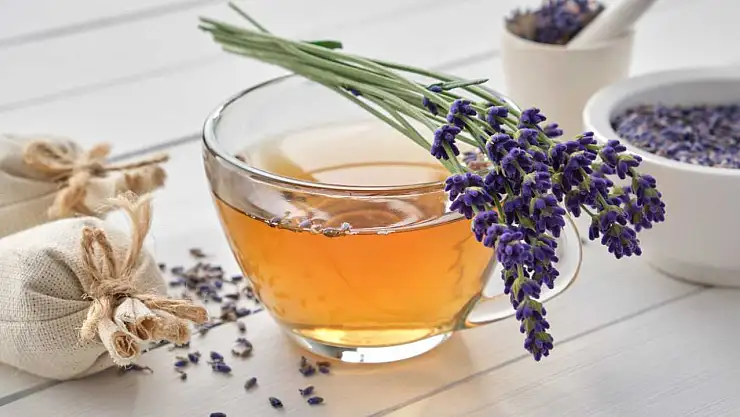 Derde deva lavanta çayı hangi hastalıklara iyi gelir?
