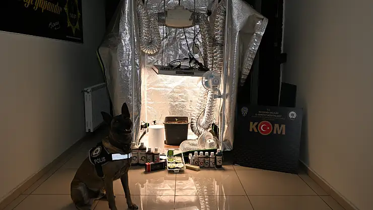 Devlet hastanesinde rüşvet skandalı! Test sonuçlarını değiştirmişler