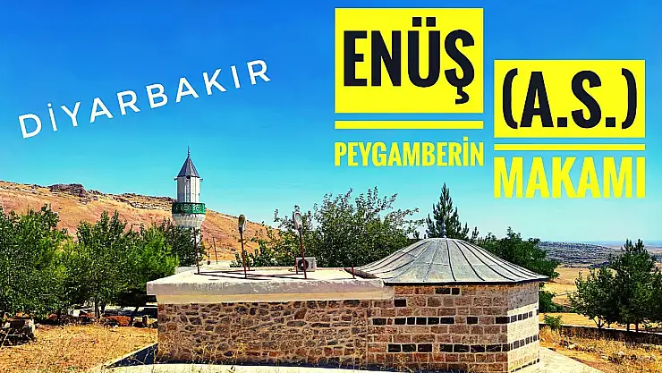Diyarbakır'ın Ergani ilçesinde bakın hangi Peygamber türbesi keşfedildi!