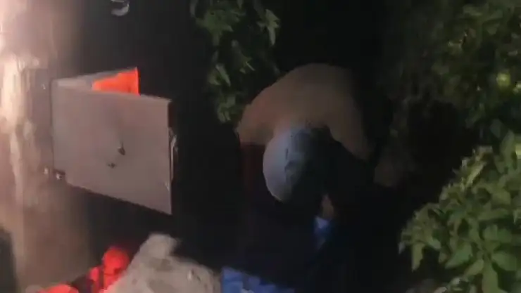 Dondurucu soğukta seralarda zirai don nöbeti