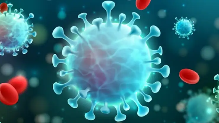 DSÖ, açıkladı: Yeni virüs hızla yayılıyor, herkes tehlike altında!