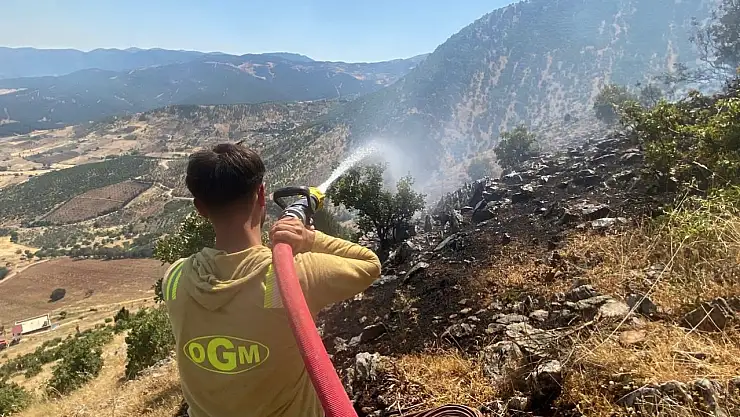 Dün sabah başlayan orman yangınına müdahele sürüyor
