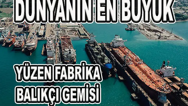 Dünyanın en büyük yüzen fabrika balıkçı gemisi