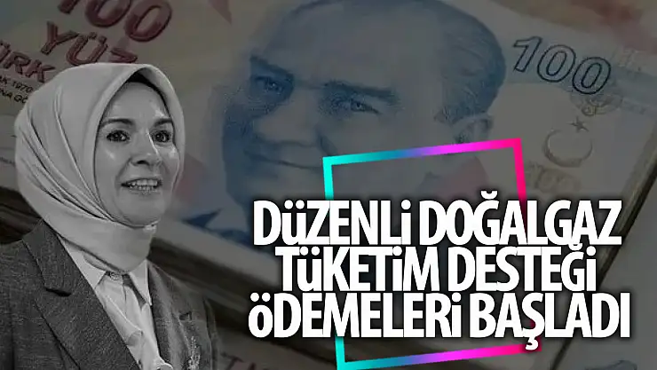 Düzenli Doğal Gaz Tüketim Desteği ödemeleri başladı