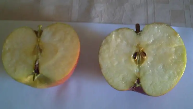 Elmanın az bilinen faydası. Böyle yiyen hastanenin yolunu unutuyor