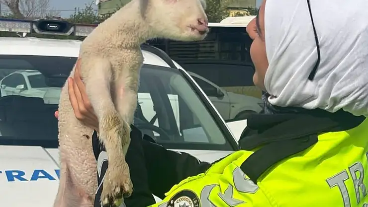 Emniyet Genel Müdürlüğü'nün paylaşımı gündem oldu: 'Kuzu kuzu itiraf etti, affettirdi kendini'