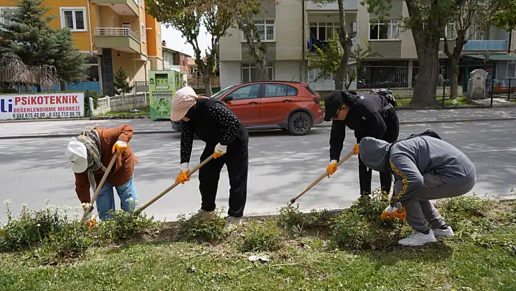 Ereğli'de yeşil alan seferberliği: Vatandaşlara çağrı var