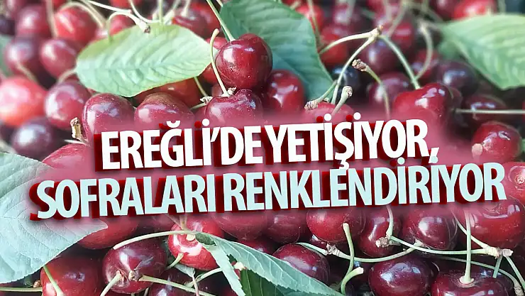 Ereğli'nin kirazı sofraları renklendiriyor!