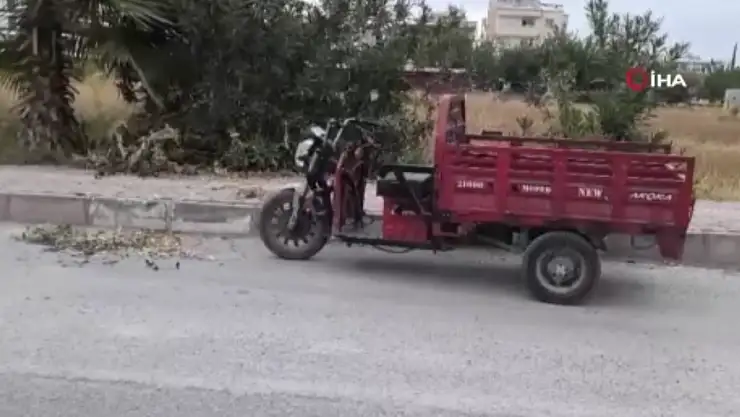 Evladını defalarca bıçaklayarak katletti