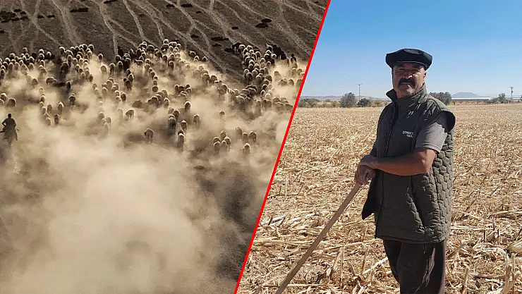 Filozof gibi konuşan Konyalı çoban mutluluğun sırrını verdi