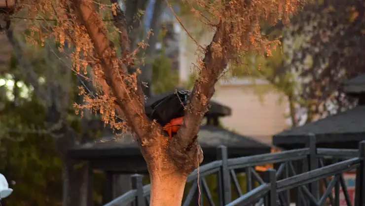 Fünye ile patlatılan çantadan para çıktı