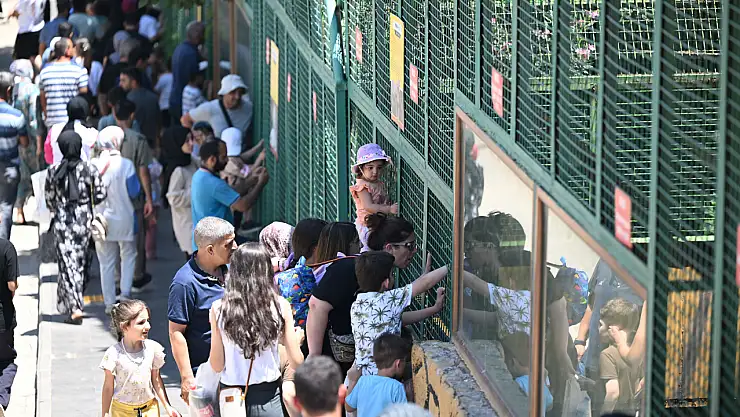 Gaziantep Doğal Yaşam Parkı Rekor Ziyaretçi Ağırladı