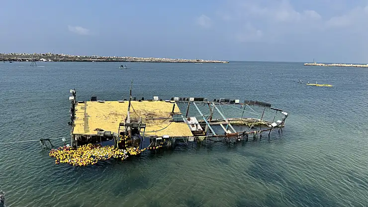 Gazze'deki balıkçılar, geleneksel yöntemlerle balık avlanıyor