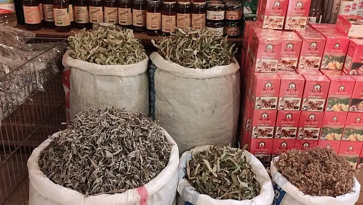 Geçmeyen öksürük için doğal çözüm arayışı