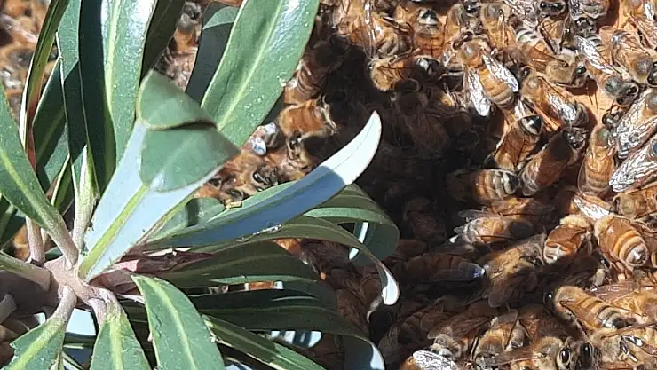 Gelirini vargitten sağlıyor. Siparişler kışın alıyor, gelecek kıştan önce teslim ediyor…