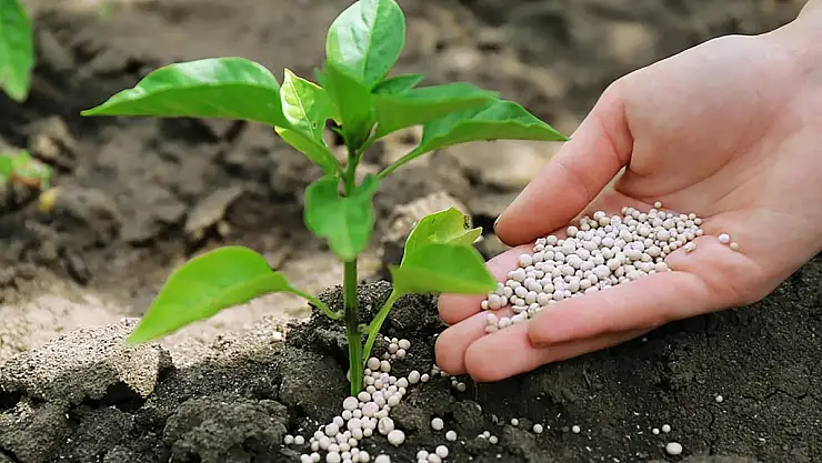 Gübre Fiyatlarında İndirim