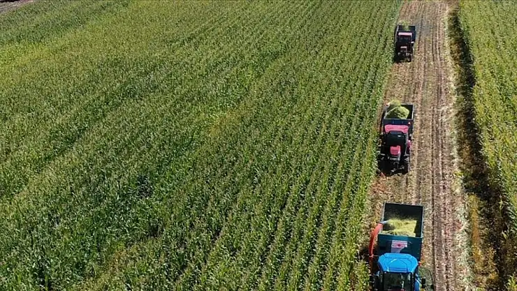 Gübreye servet dökmeye son! Hümik asitle verim katlandı