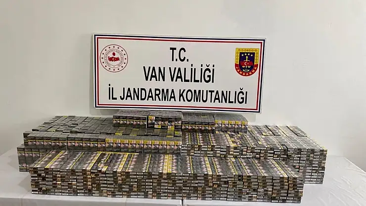 Gümrük kaçakçılığı operasyonu: 31 gözaltı
