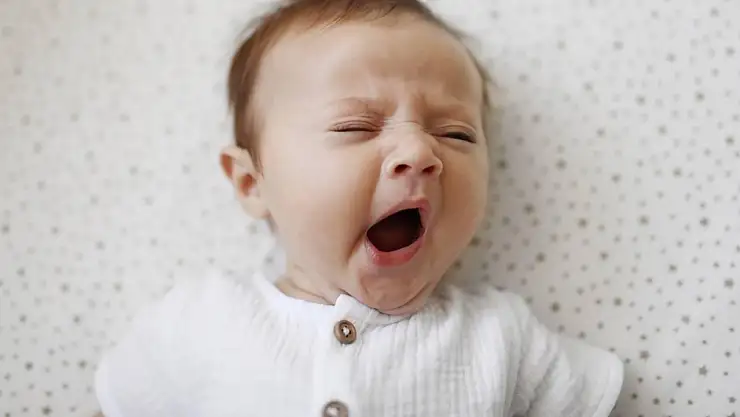 Gündüz uyuyun beyniniz gelişsin