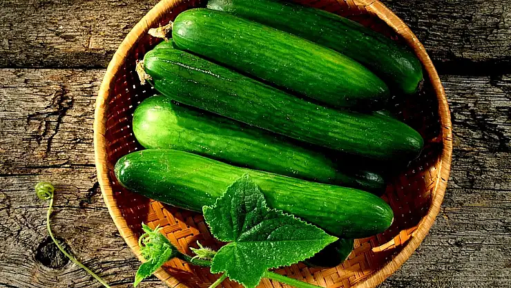 Günlük salatalık tüketimi: Sağlığa faydalı bir alışkanlık mı?