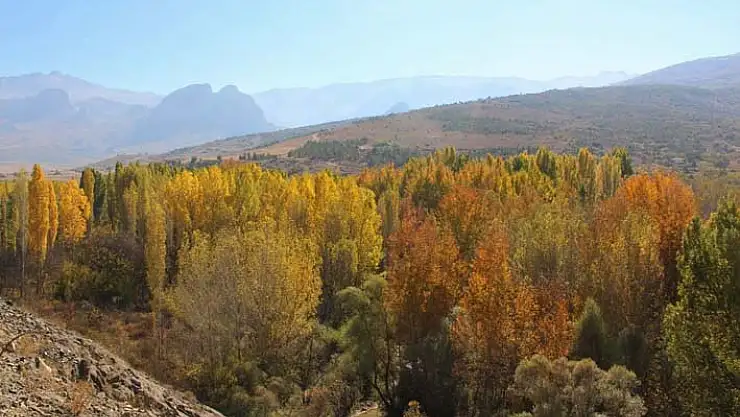 Halkapınar'da sonbaharın renkleri