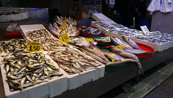 Hamsi tekrar tezgâhlarda yerini aldı