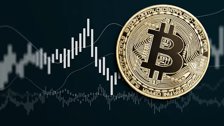 Harvard Bitcoin'e yüklendi! İşte milyar dolarlık şok rapor