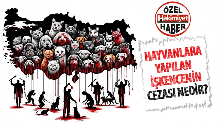 Hayvanları Koruma Kanunu Kapsamında Cezalar Yetersiz mi? Tartışma Sürüyor