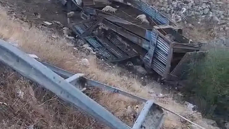 Hayvanları taşıyan araç uçuruma yuvarlandı: Facia yaşandı!