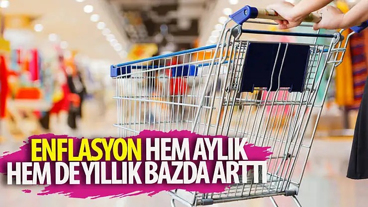 Hem aylık hem yıllık bazda yükselmiş...