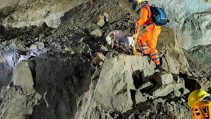 Heyelan otobüsü yuttu: 15 ölü