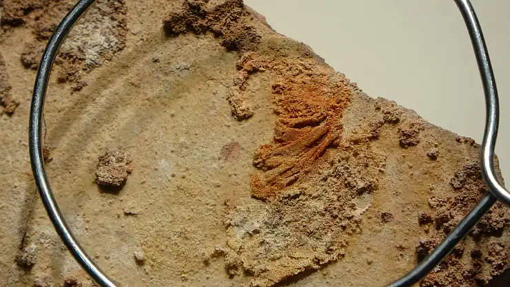 Hititlere ait 3 bin 500 yıllık keten kumaş ilk kez sergilendi