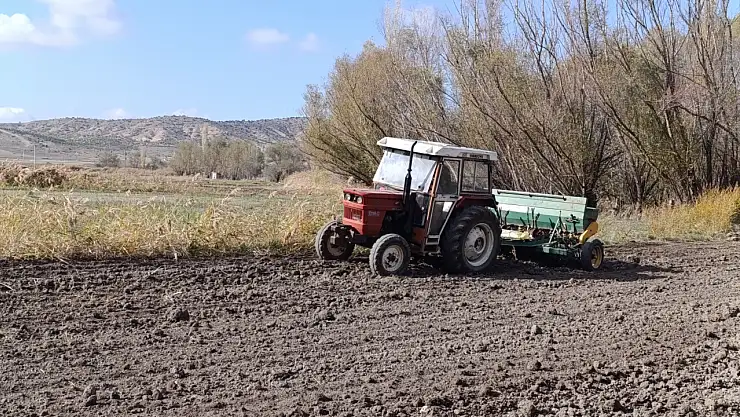 Hububat ekimi yapan çiftçiler, yağmur için dua ediyor