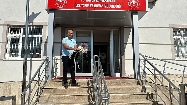 Hüyük'te yaralı halde bulunan leylek tedaviye alındı