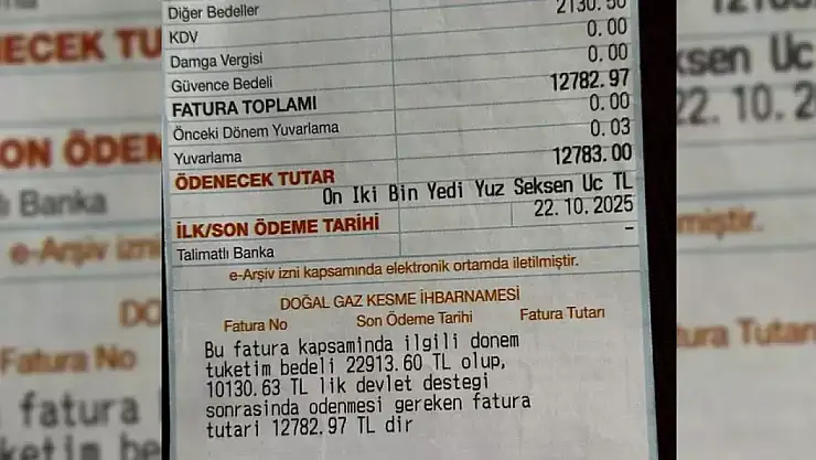 İki kişilik eve gelen doğal gaz faturası dudak uçuklattı! Rakamı görünce şok olacaksınız