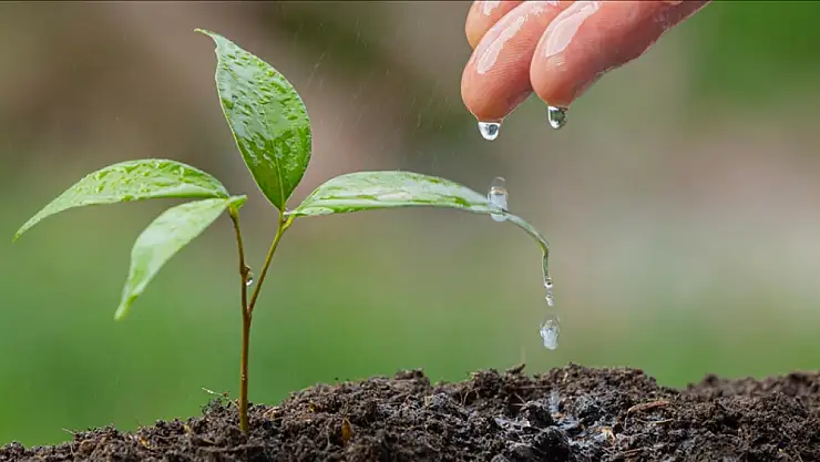 İklim değişikliği gölgesinde su krizi: Türkiye'de kuraklık riski büyüyor