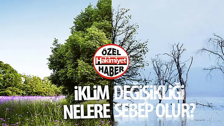 İklim değişikliğinin dünya üzerindeki etkileri nelerdir? Alınması gereken tedbirler neler olmalı?