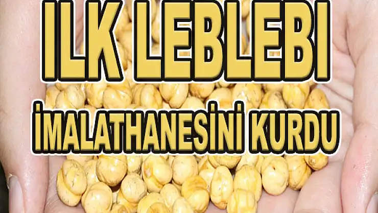 İlk leblebi imalathanesini kurdu...