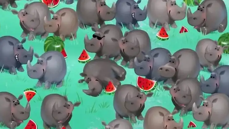 IQ seviyenizi ispatlamak için 10 saniyeniz var! Su aygırını görenler süper zeka çıkıyor