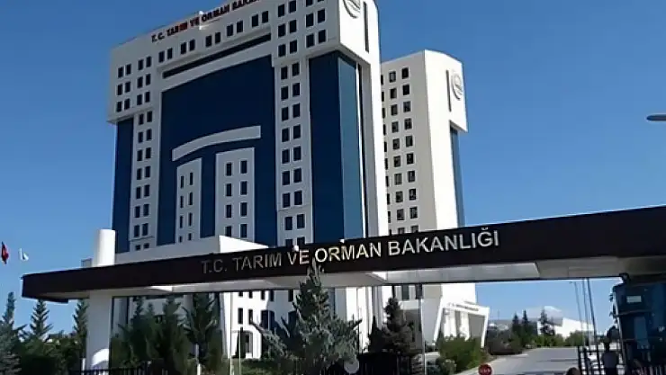 İş arayanlara müjde: Bakanlık alım yapacak!