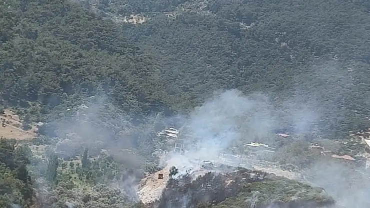 İzmir'de orman yangını çıktı!