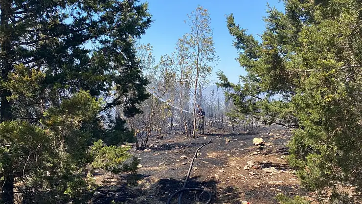 İzmir'deki orman yangınında sevindirici haber!