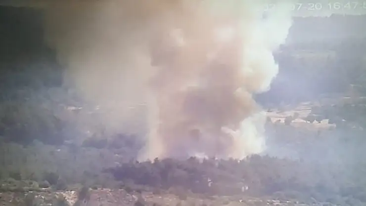 İzmir'de orman yangını! Ekipler bölgede