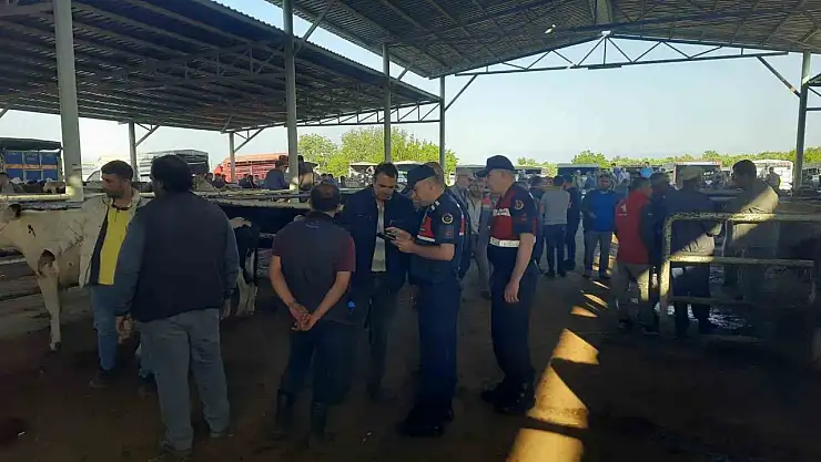 Jandarma, hayvan hırsızlarına karşı uyarılarda bulundu