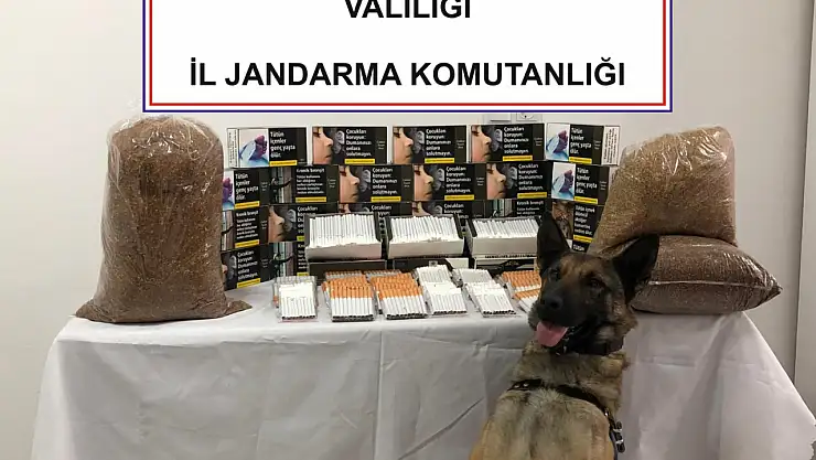 Jandarma kaçak makaron operasyonu düzenlendi